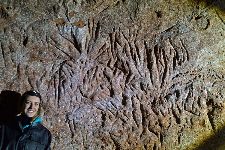 Numerous claw marks from the gigantic creature found in these tunnels.