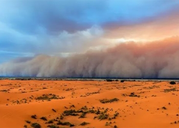 dust in sahara is very important in protecting ecosystems against climate change 136941