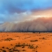 dust in sahara is very important in protecting ecosystems against climate change 136941