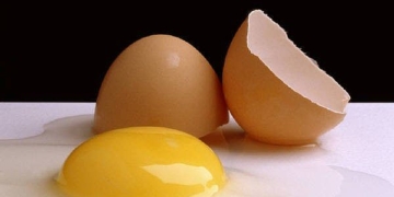 egg main