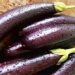 eggplant help prevent high blood pressure cancer gout 41481