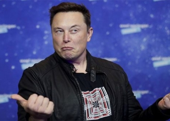 elon musk 650