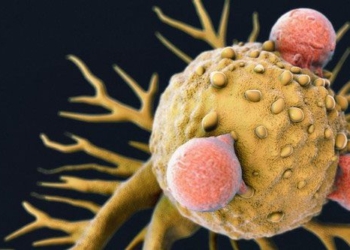 experiment for teaching covid virus may reduce tumor size of 4 types of terminal cancer 138227