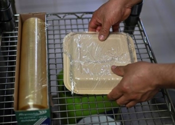 finding biological solutions to sustainable replacement for petrochemical plastics 137577