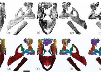 finding the part you may never know of the greatest monster of every time 126922