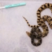 first snake in the world born from cold blooded animal 136470