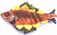 fish 1