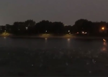 fish jump to surface at linh dam lake hanoi people worried expert unexpectedly explains 136828