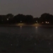 fish jump to surface at linh dam lake hanoi people worried expert unexpectedly explains 136828