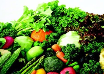 foods that help boost the immune system 26333