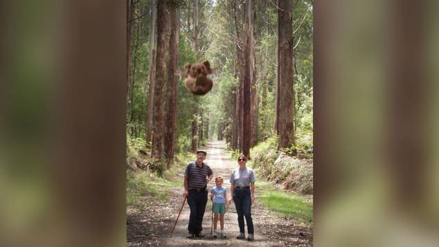 A drop bear swooping down on a family walking in the woods.