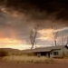 ghost town in australia where snake bites can be fatal 100234