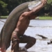 giant freshwater monster species in the amazon 67253