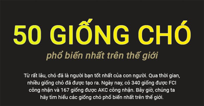 giong cho pho bien tren the gioi