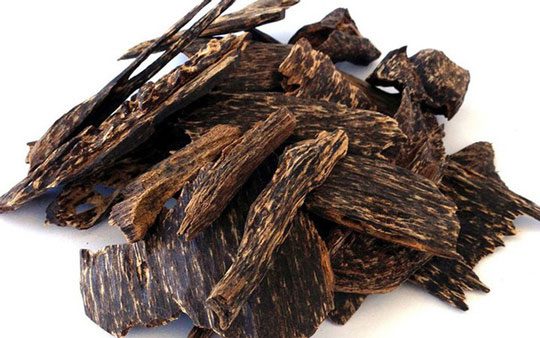 Agarwood