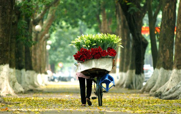 Why Do We Easily Feel Bored in Late Autumn and Early Winter?