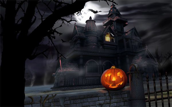 Halloween Festival and Things You Didn't Know