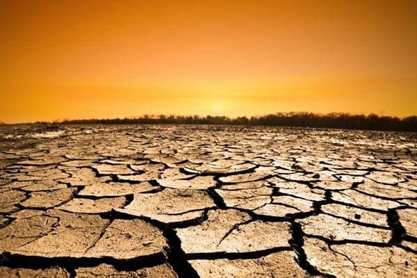 Drought depletes water sources for drinking and irrigation, impacting agriculture