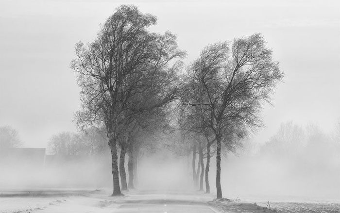 Monsoon is a seasonal wind (at certain times) in a region.