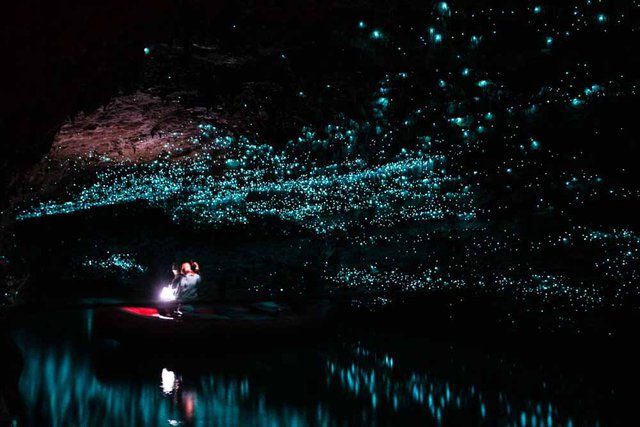 Waitomo Cave