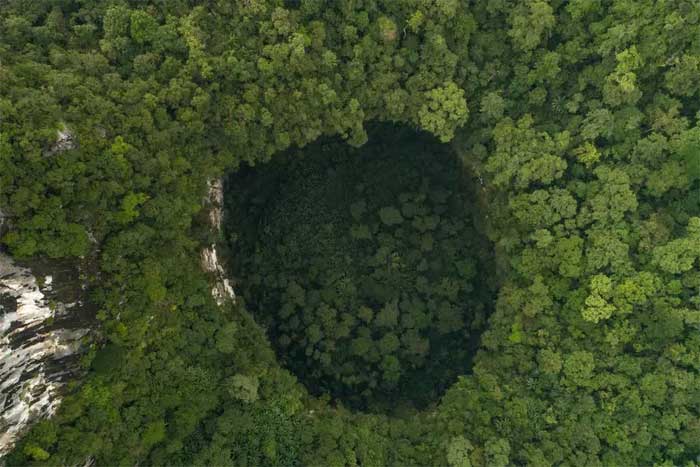 Sơn Đoòng Cave hidden in the ancient forest.