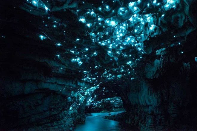 Cave adorned with sparkling blue lights