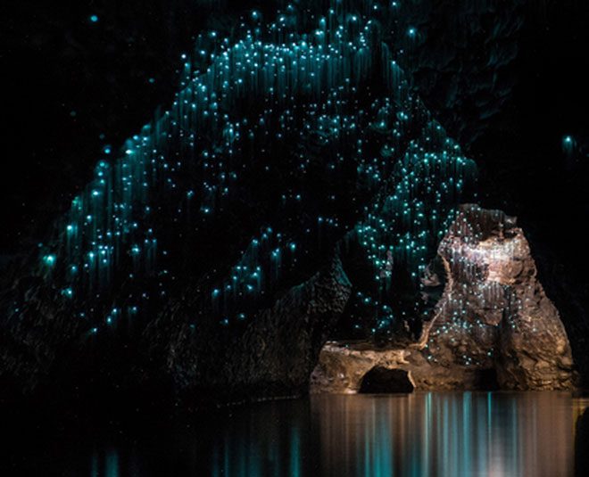 Interior of Waitomo Caves