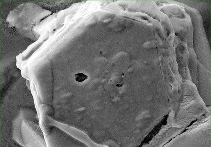 A dust grain from Ryugu analyzed in the research