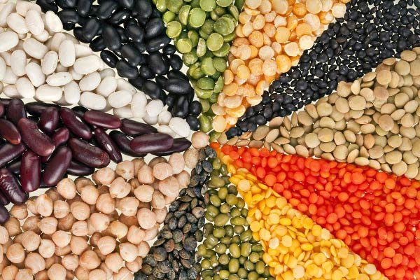 Legumes