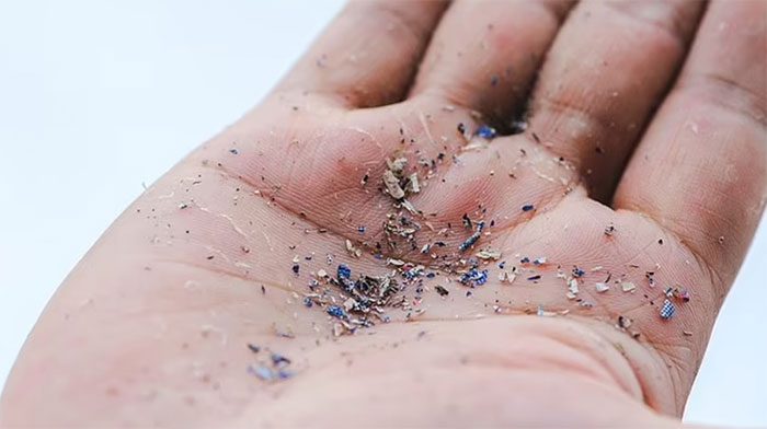 Microplastics are tiny plastic particles ranging from 5.5 to 26.4 micrometers in size.