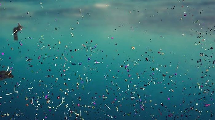 Microplastics in the ocean