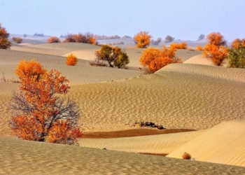 hidden ocean beneath sand with water level of 8 rivers of yangtze china 120556