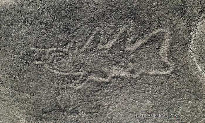 Thanks to new technology, the number of discovered geoglyphs has nearly doubled