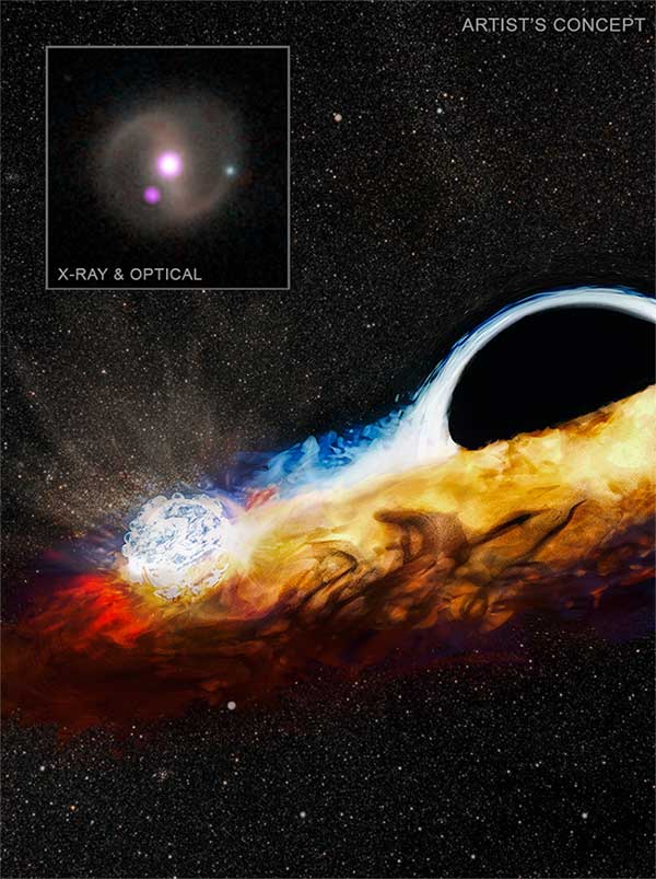 Central black hole of galaxy AT2019qiz