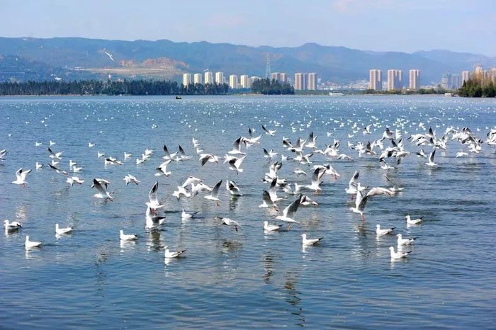 Dianchi Lake is a famous destination in Kunming, Yunnan Province (China).