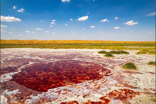 From July to September is when O Lan Lake has the most beautiful colors.