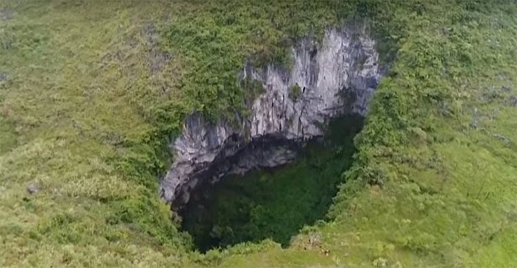 Giant sinkhole in the forest.