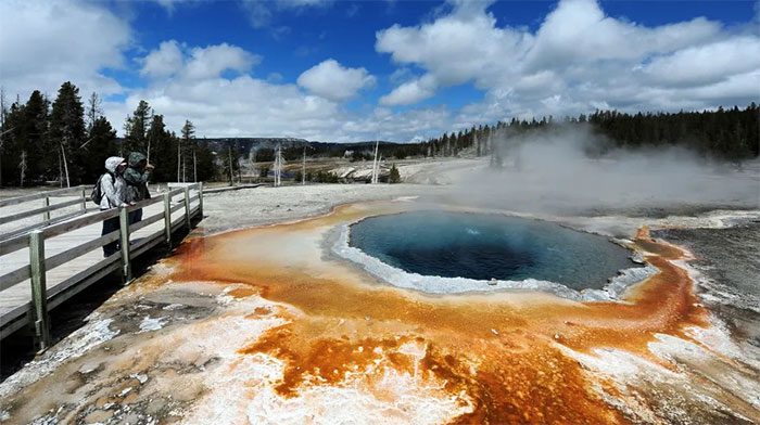 Terrestrial hot springs are also a viable environment for life formation.