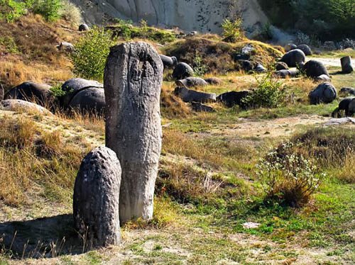 The strange stone grows like mushrooms after rain