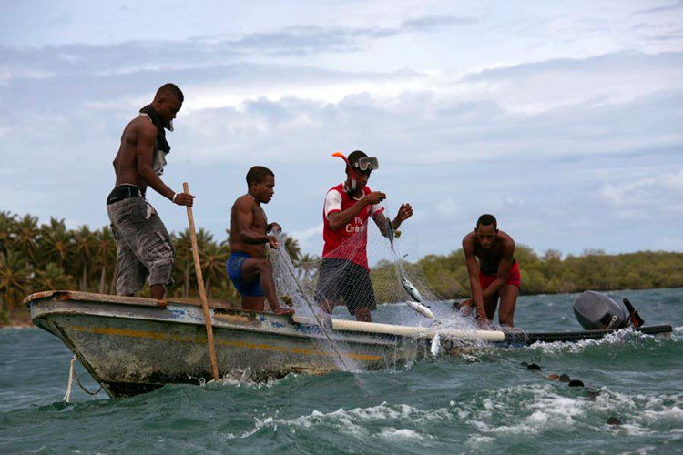 Life on the world's most densely populated island