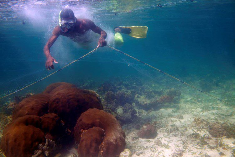 Life on the world's most densely populated island