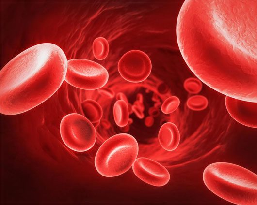 There are about 46 different blood groups, but the main ones are O, A, B, and the Rh factor.