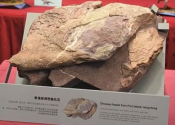 hong kong china first discovery dragon stone 137447