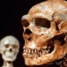 hop so nguoi Neanderthal 650