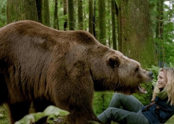 how are the brown bears terrifying and fierce 136859