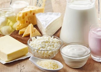 how important is milk and dairy products to intestinal health 138410