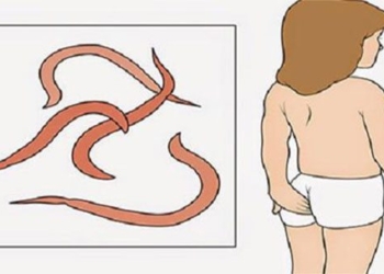 how to catch earthworms for children without using medicine parents should know 124169