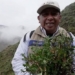 innovation in millions of trees on the andes 138418