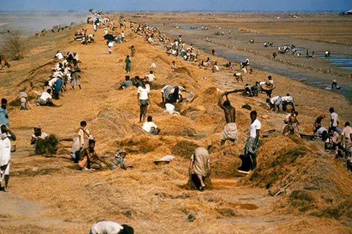 Survivors in East Pakistan recover from the aftermath of Cyclone Bhola.