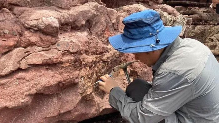Archaeologists collecting fossil samples on Chek Chau Island